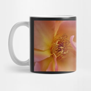 Starburst Mug